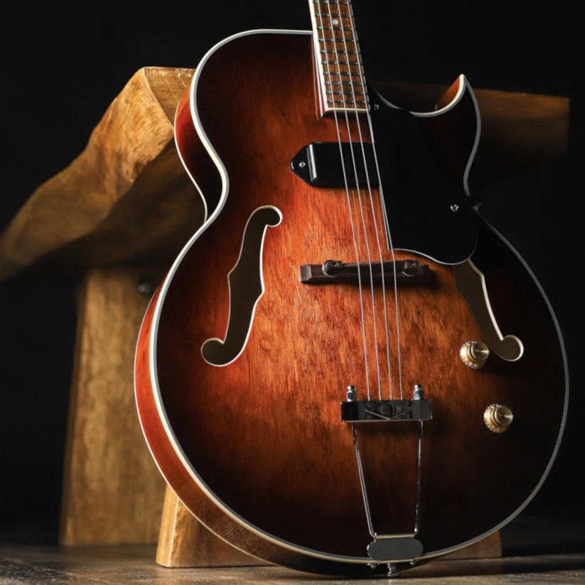 Top 5 Electric Guitars for Beginners in 2025 – EGA Guitars